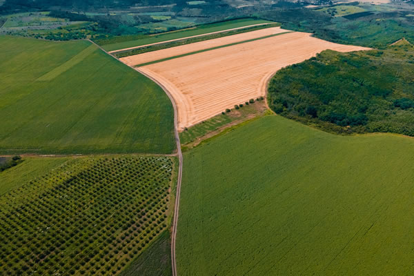 Surveying and mapping using drones